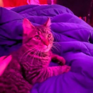 Meet your Posher, Jayden